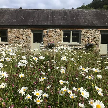 Danygraig Cottage Кармартън Екстериор снимка