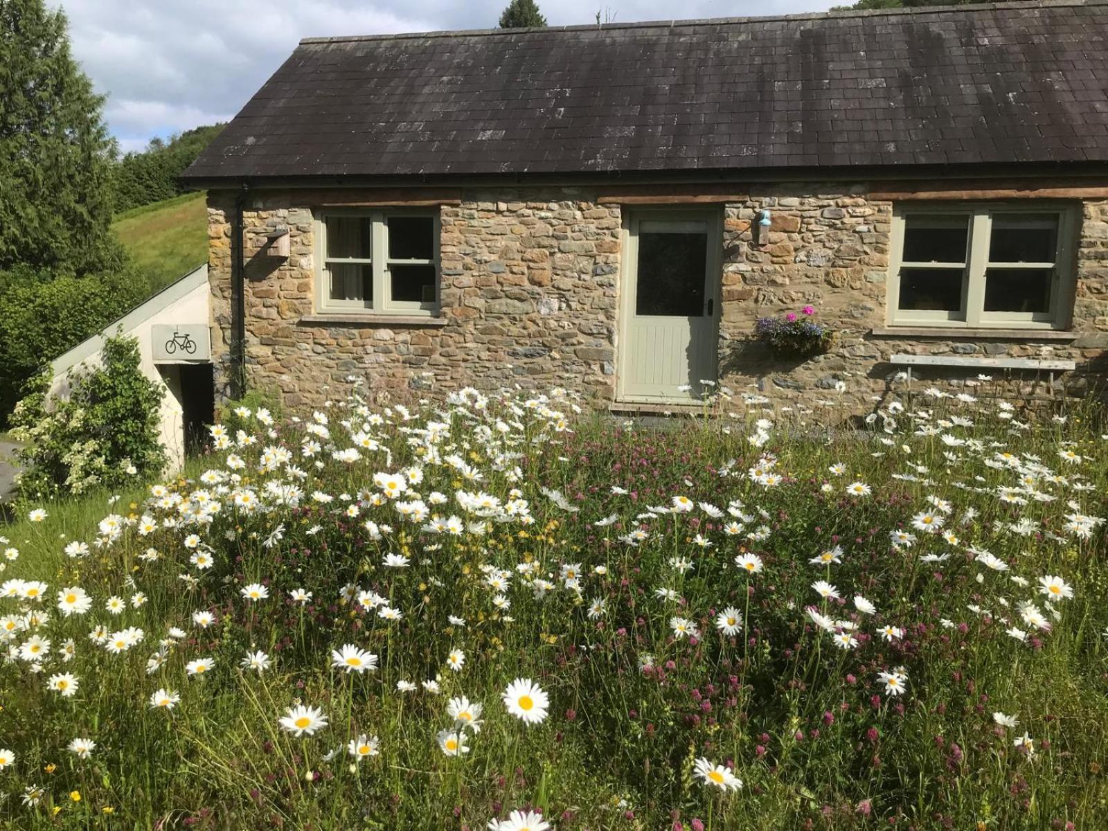 Danygraig Cottage Кармартън Екстериор снимка