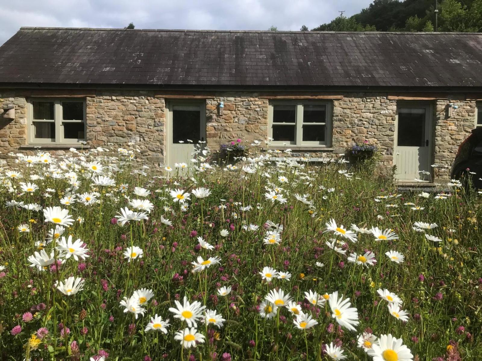 Danygraig Cottage Кармартън Екстериор снимка
