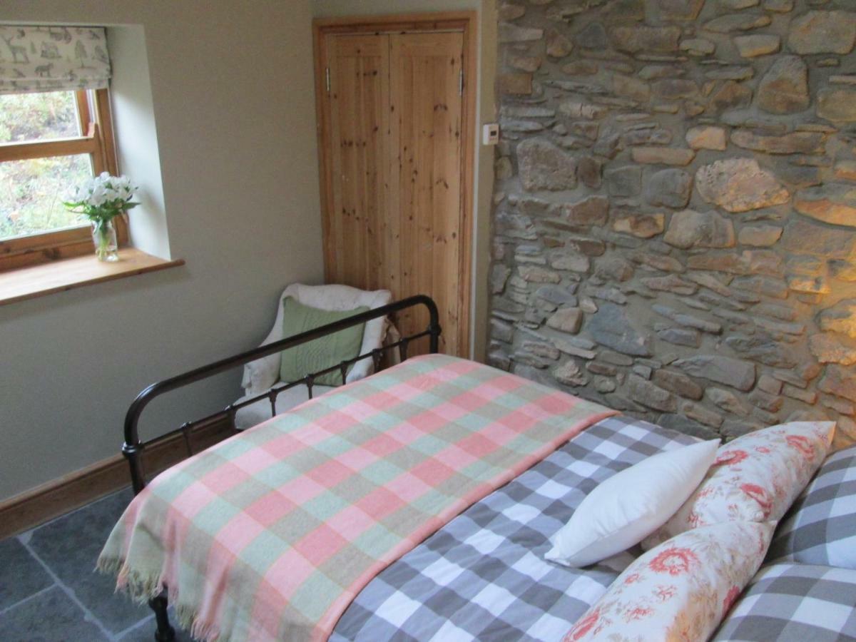 Danygraig Cottage Кармартън Екстериор снимка