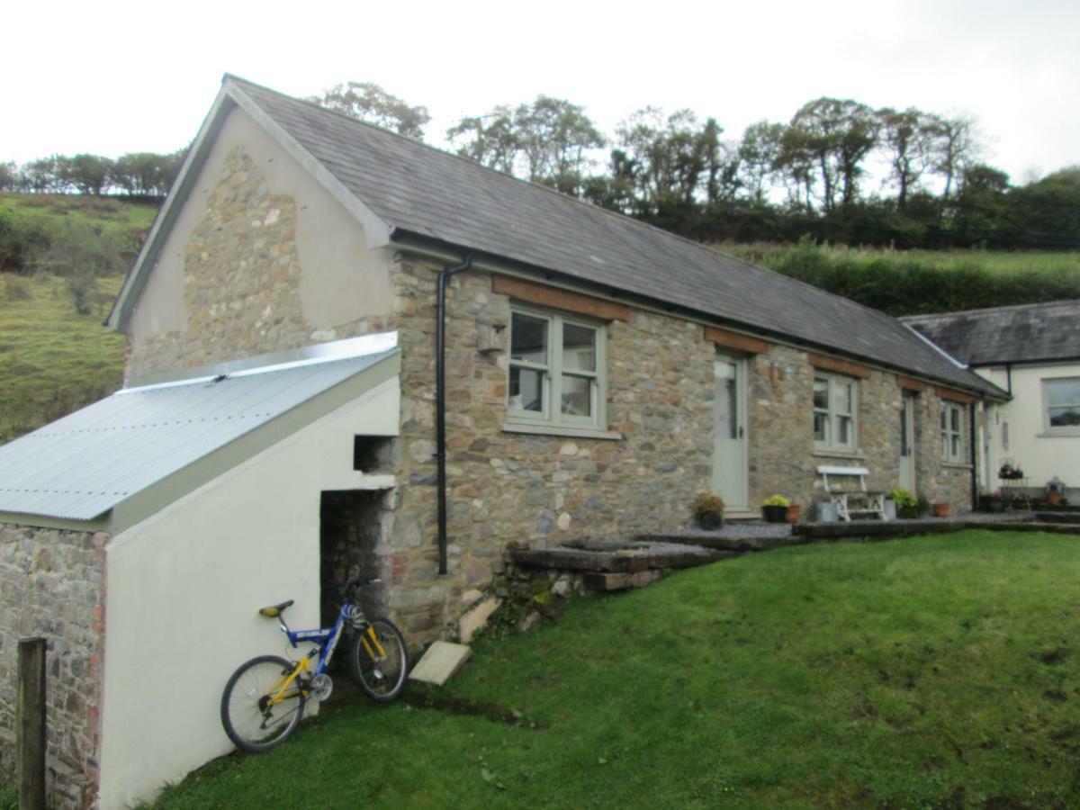 Danygraig Cottage Кармартън Екстериор снимка