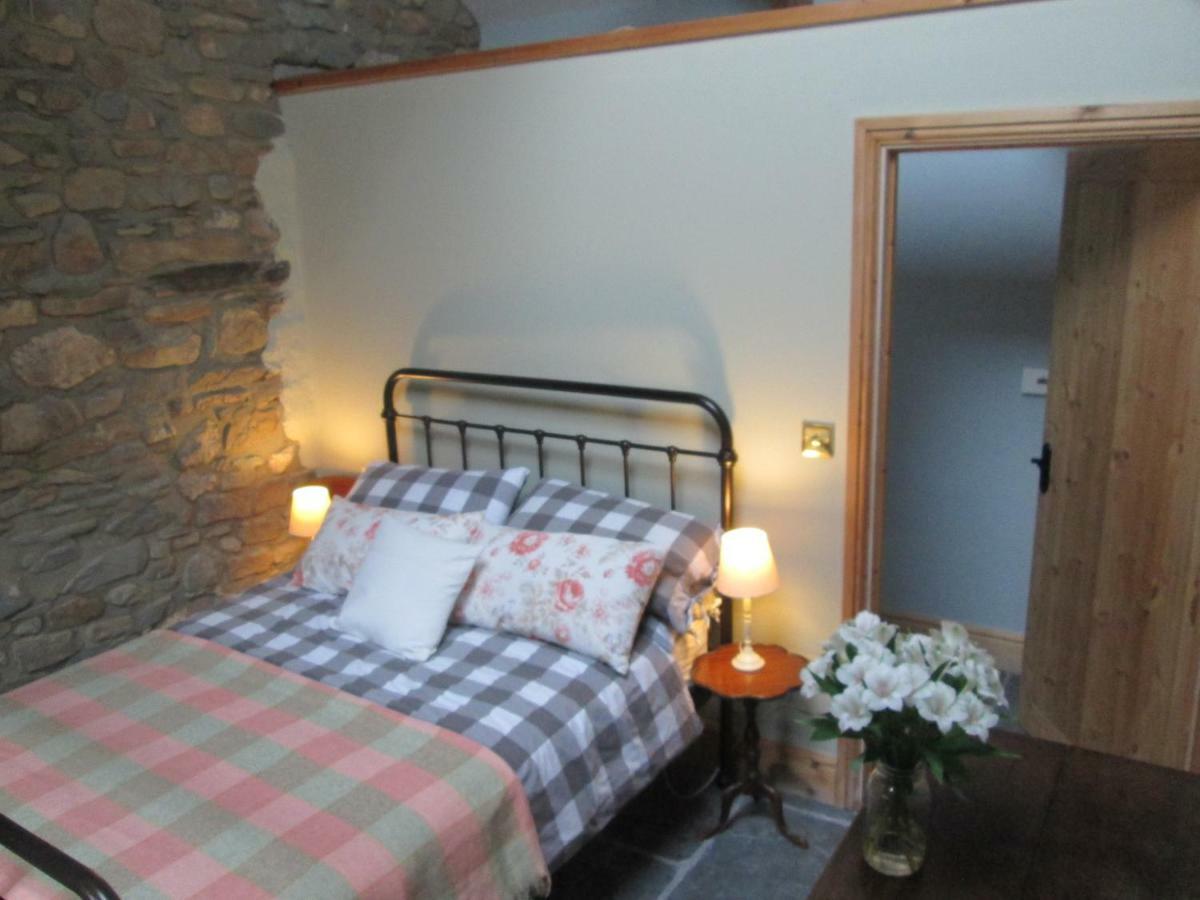 Danygraig Cottage Кармартън Екстериор снимка